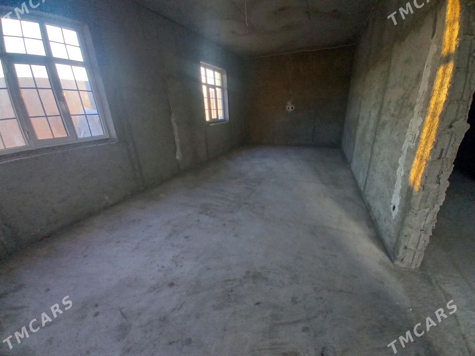 kotej - Çoganly - img 3