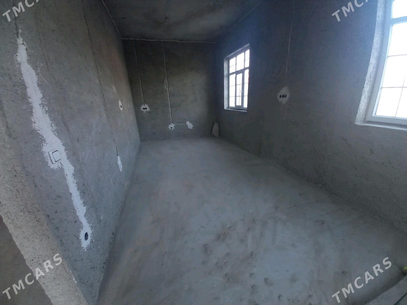 kotej - Çoganly - img 4