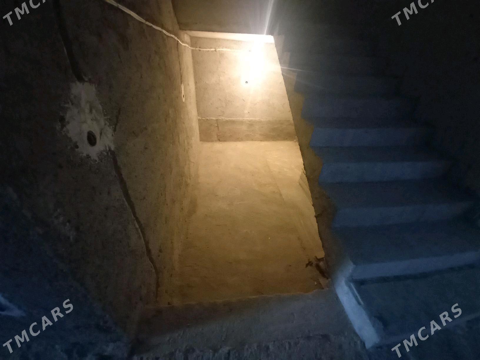 kotej - Çoganly - img 9