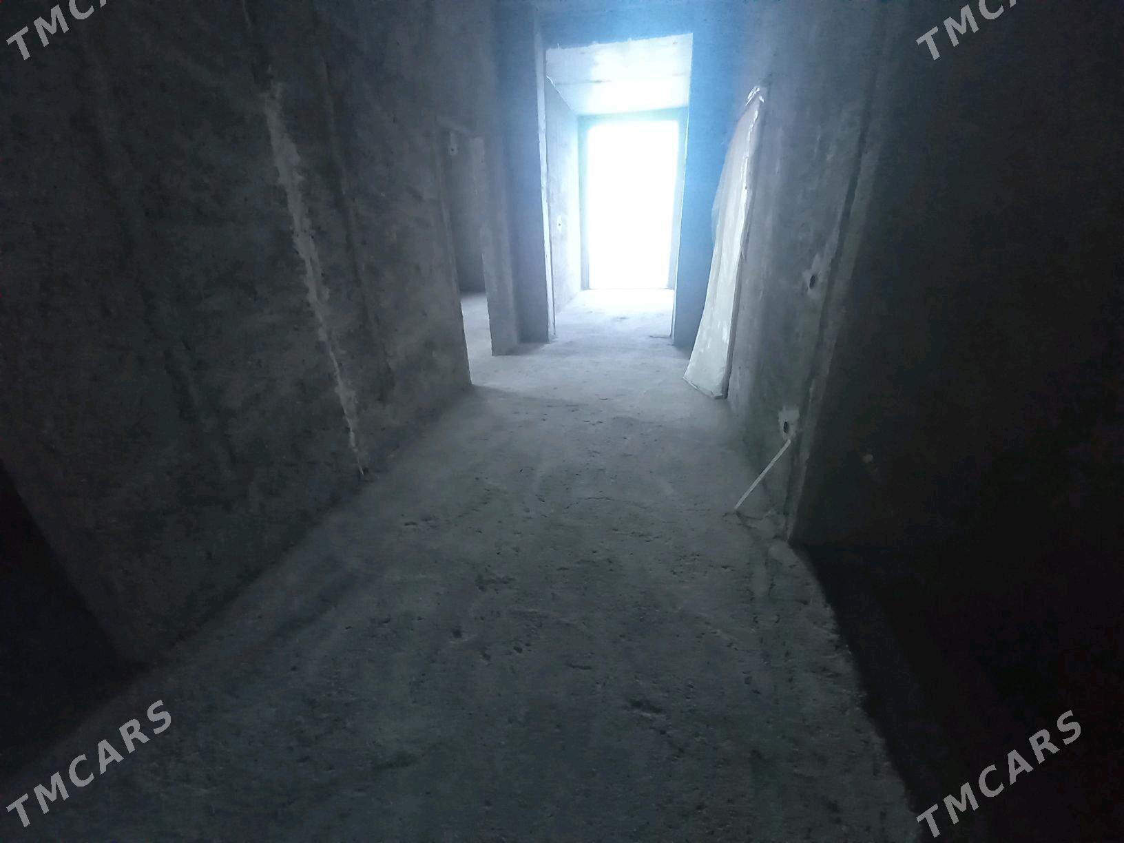 kotej - Çoganly - img 8