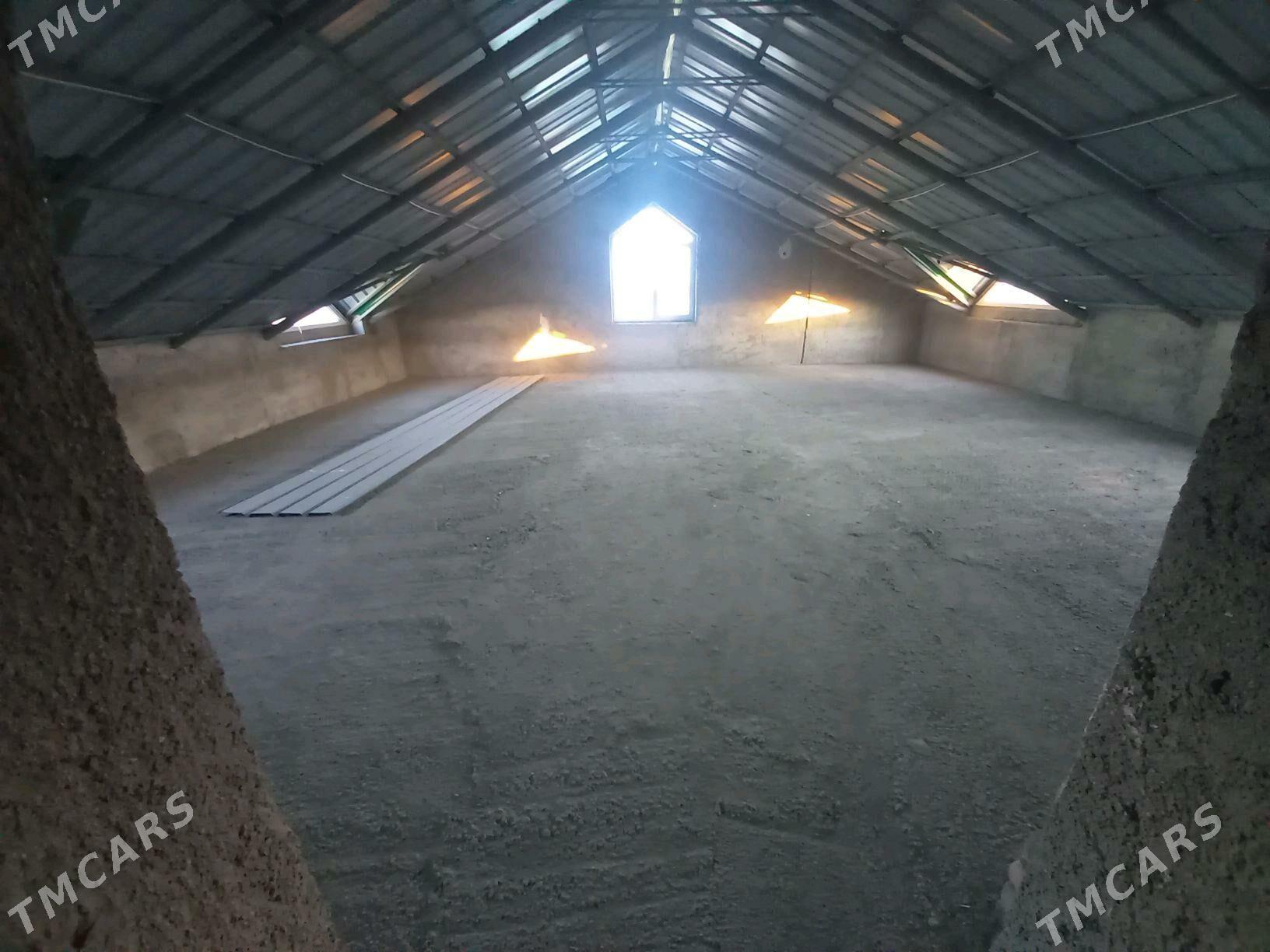 kotej - Çoganly - img 10