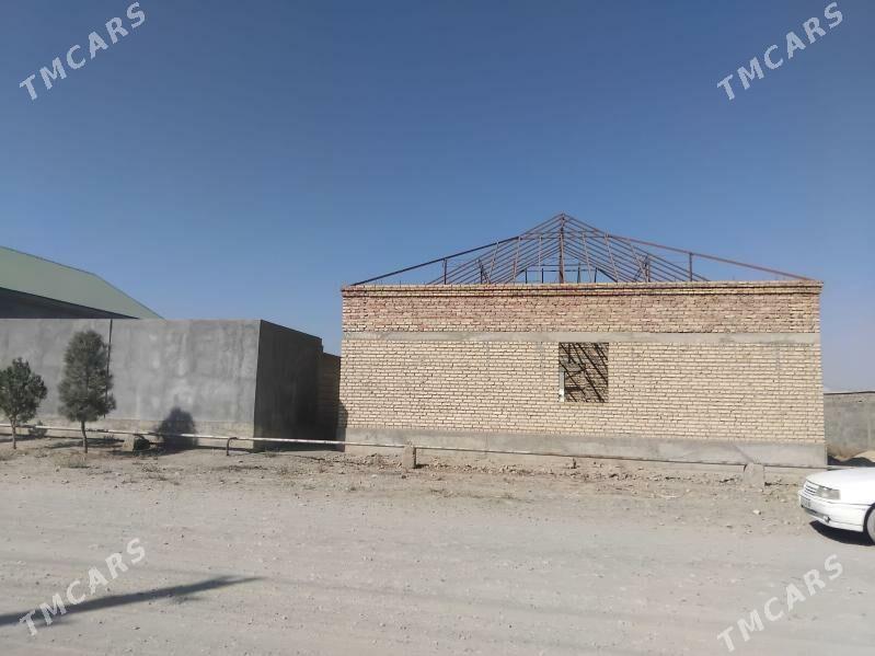 satlyk jay - Бахарден - img 2