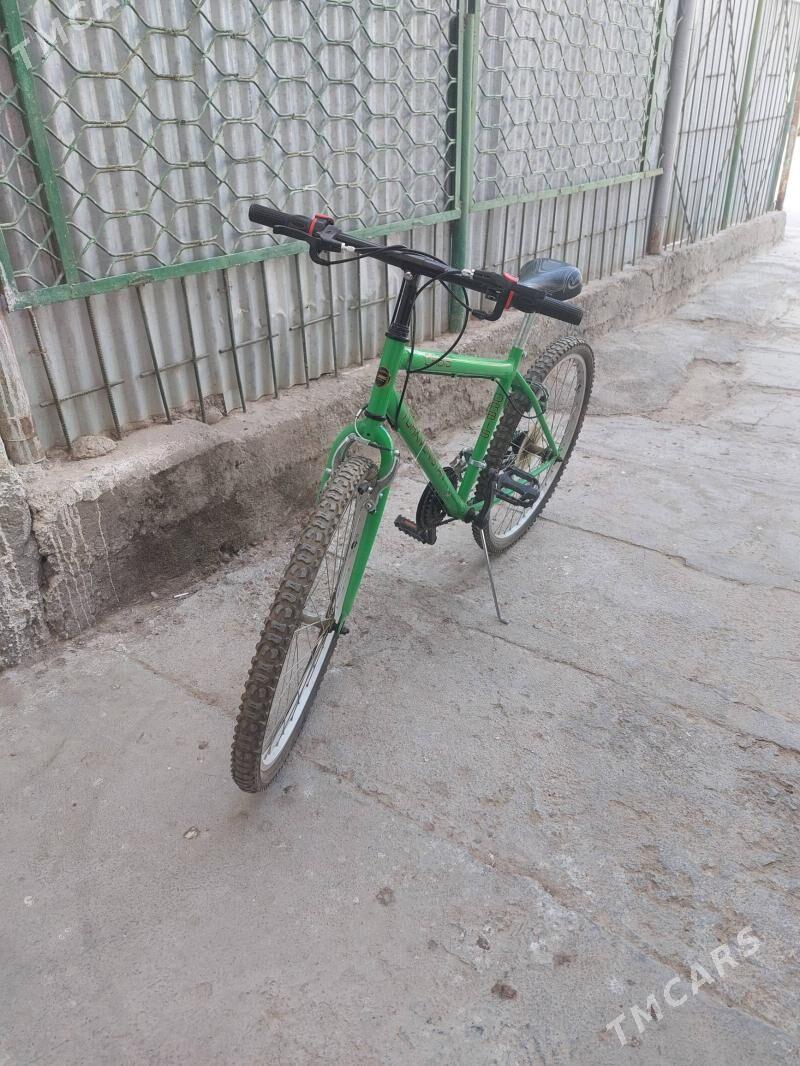 Turkmenistan tigir - Ak bugdaý etraby - img 2