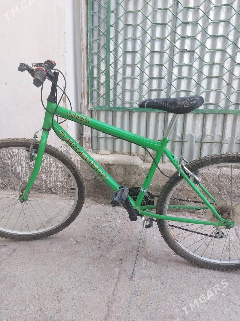 Turkmenistan tigir - Ak bugdaý etraby - img 1