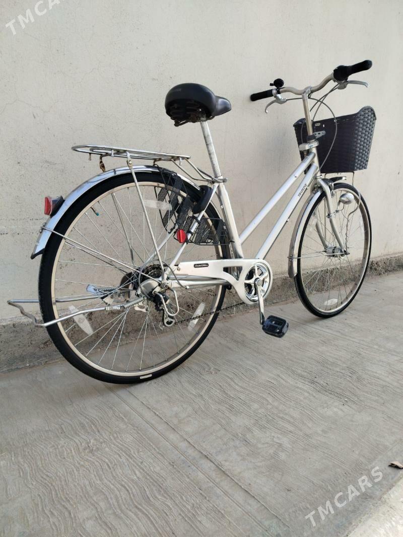 27 TRADLİN - Мары - img 2