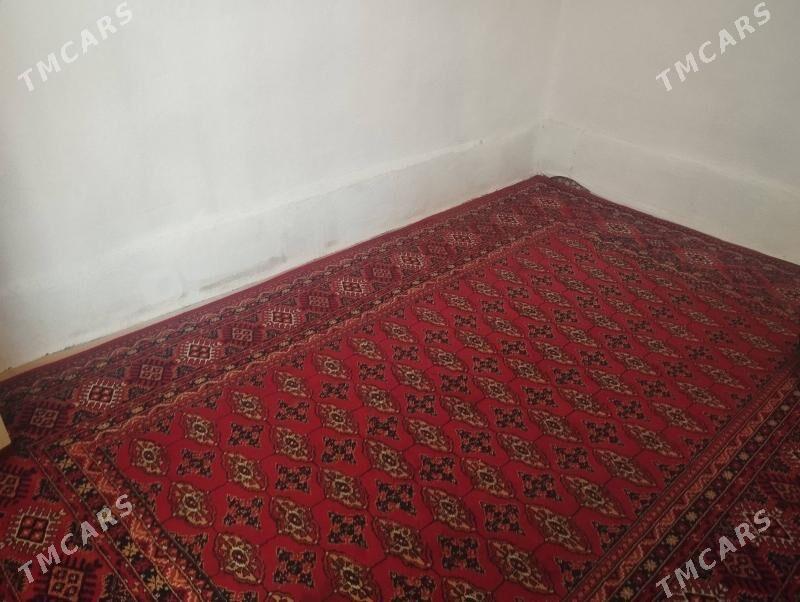 kywartyrant - Büzmeýin - img 1