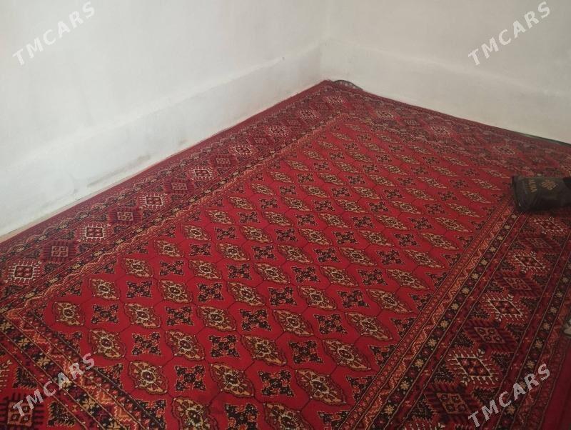 kywartyrant - Büzmeýin - img 2