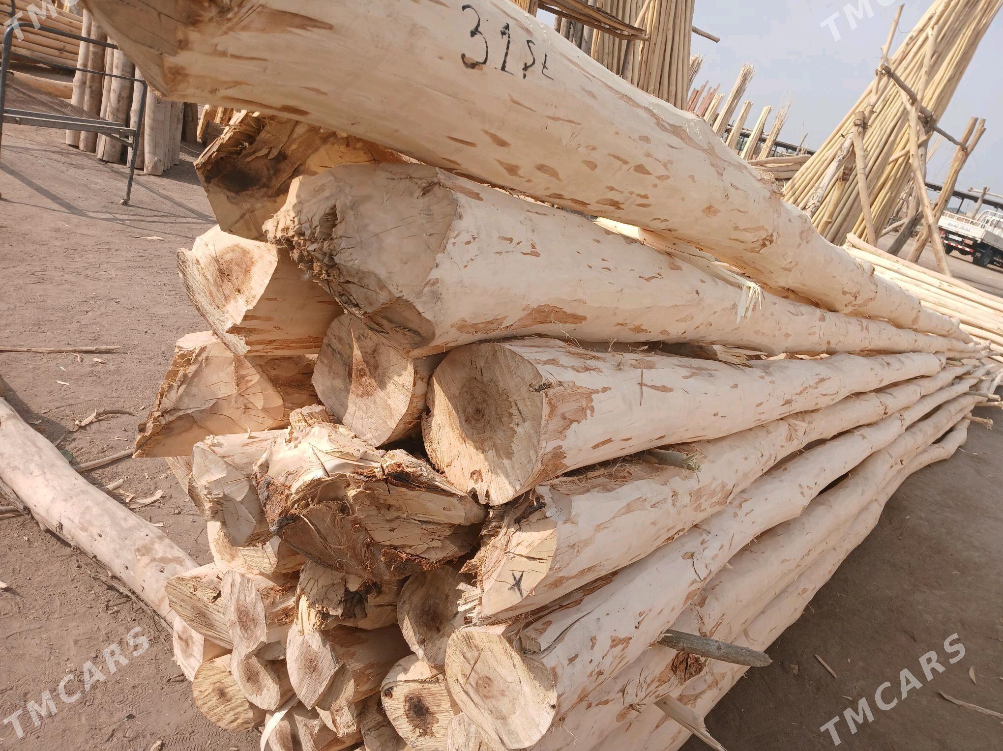 AGAÇ DEREK - Gubadag - img 3