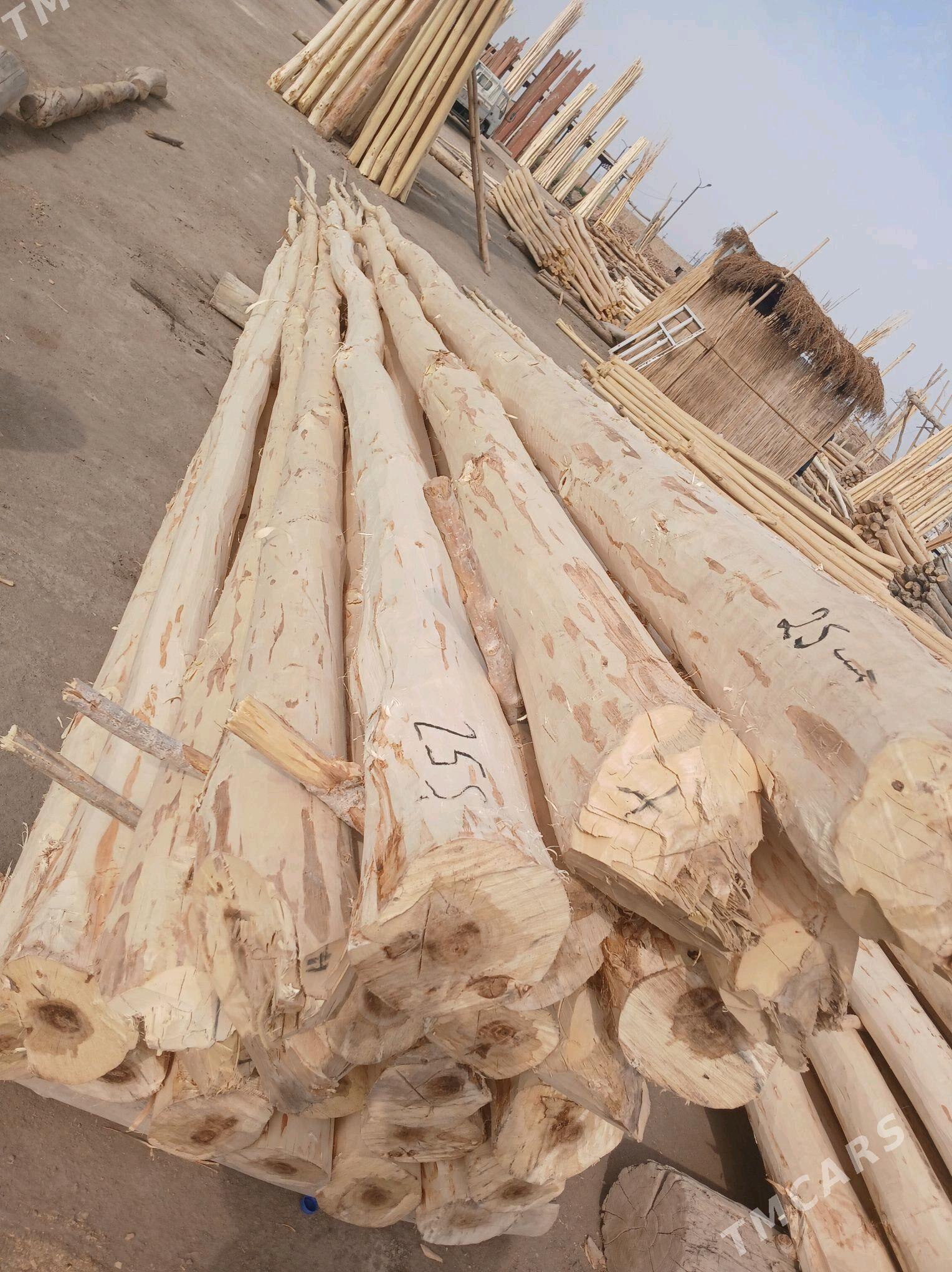 AGAÇ DEREK - Gubadag - img 4