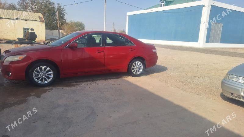 Toyota Camry 2010 - 195 000 TMT - Бабадайхан - img 1