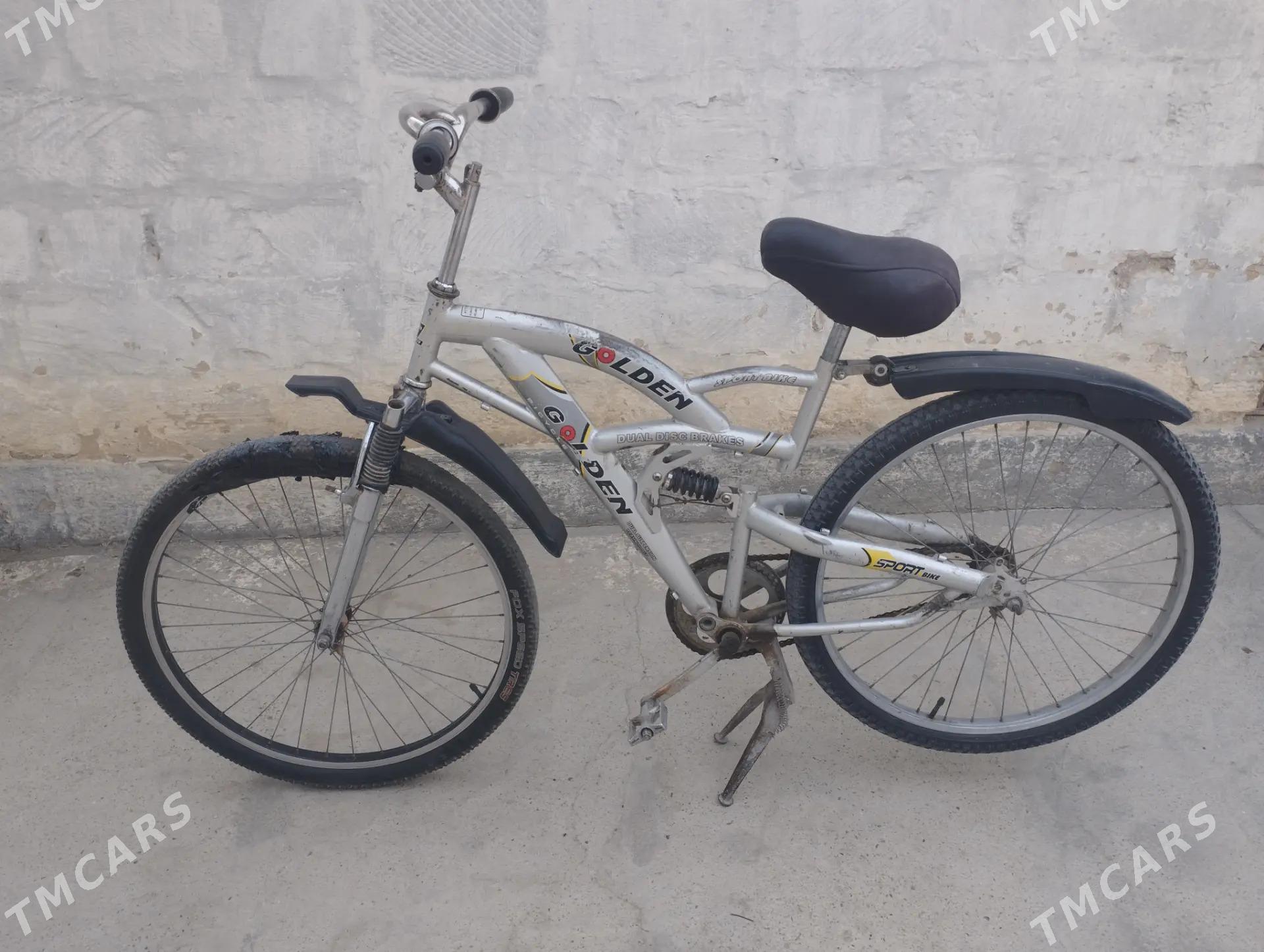 welsiped - Gyzylarbat - img 2