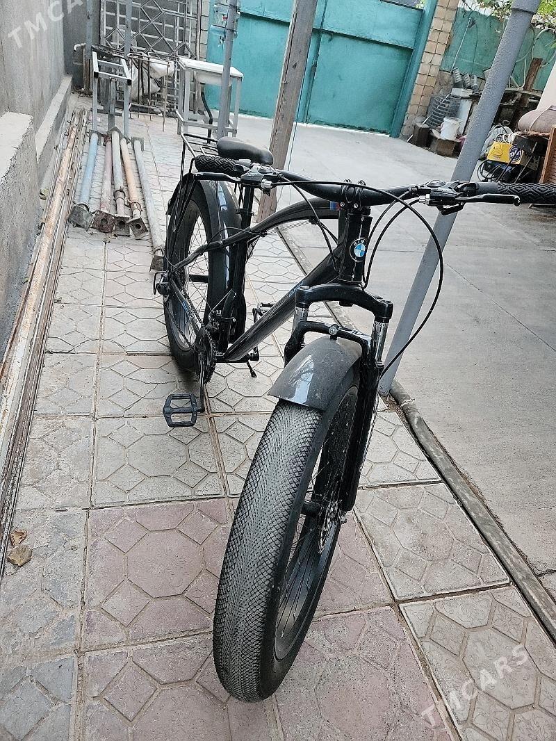 tigir - Änew - img 1