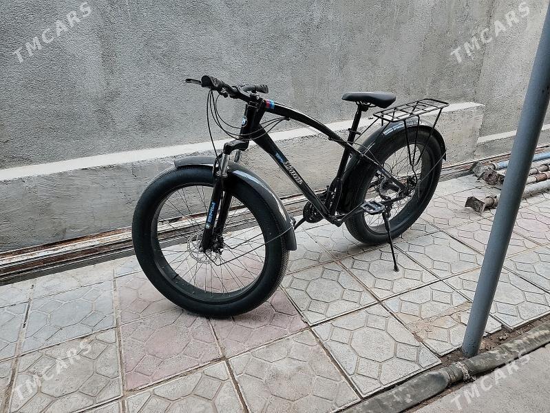 tigir - Änew - img 2