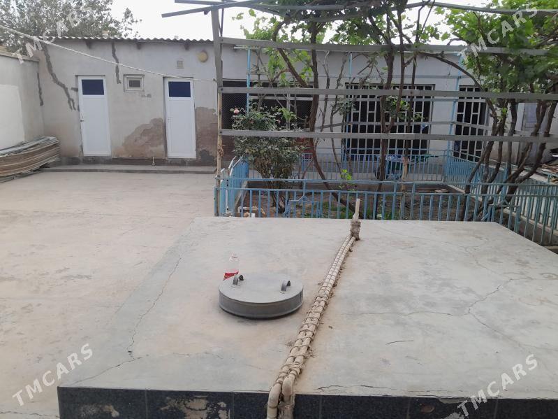 Satlyk plan jay - Tejen - img 7