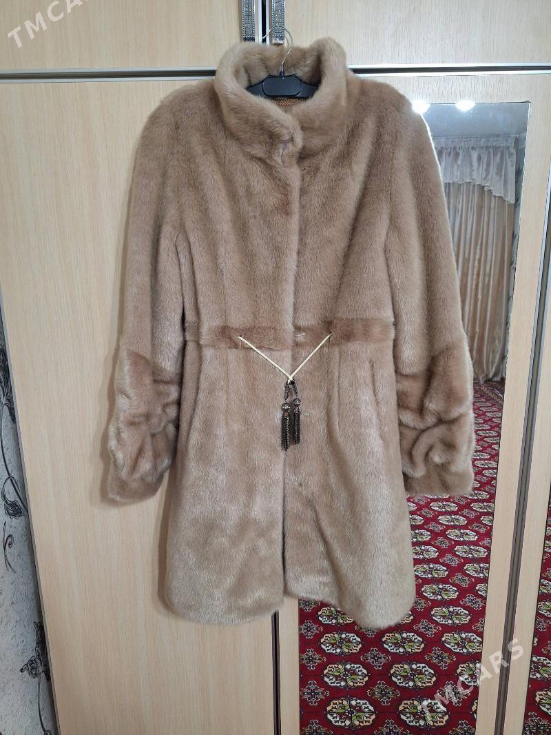 Şuba - Ашхабад - img 1