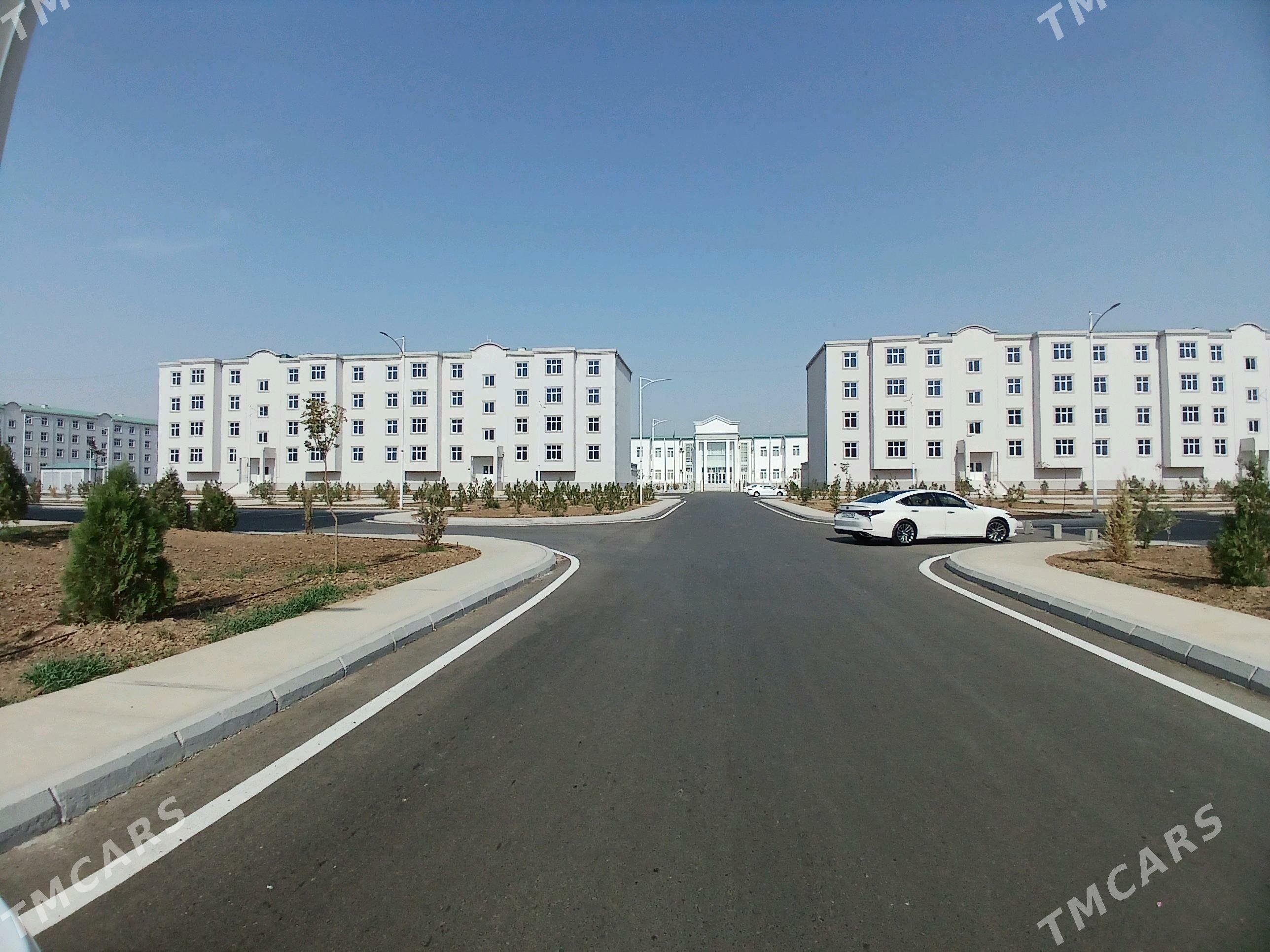 Satlyk elitka jaÿ  - Mary - img 1