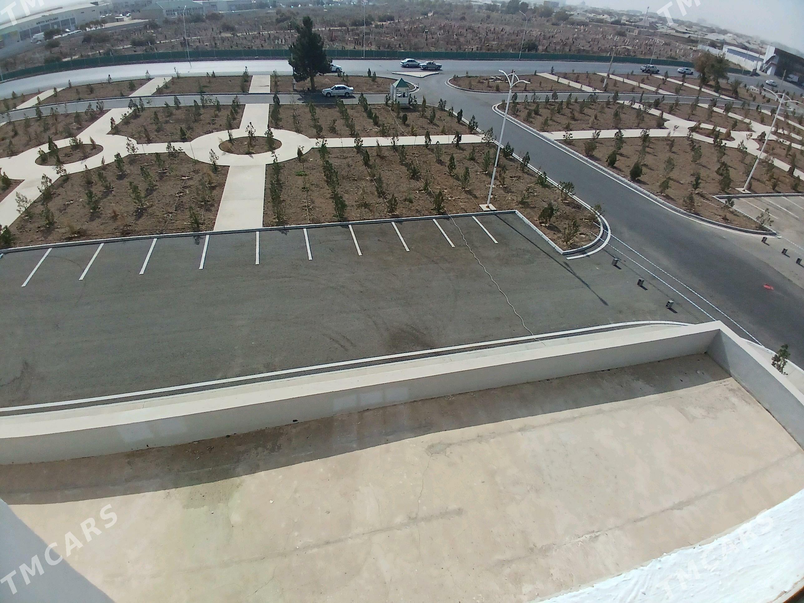  Satlyk elitka jaÿ  - Mary - img 7