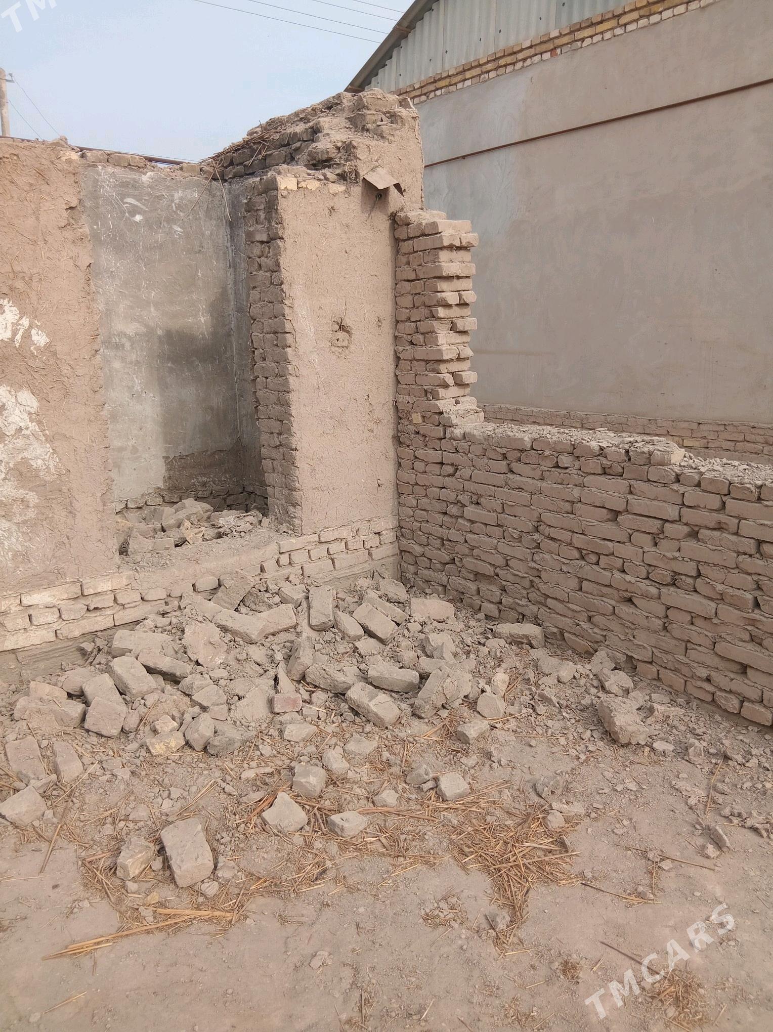 Arjankize Ham piṣgan karwuç - Дашогуз - img 3