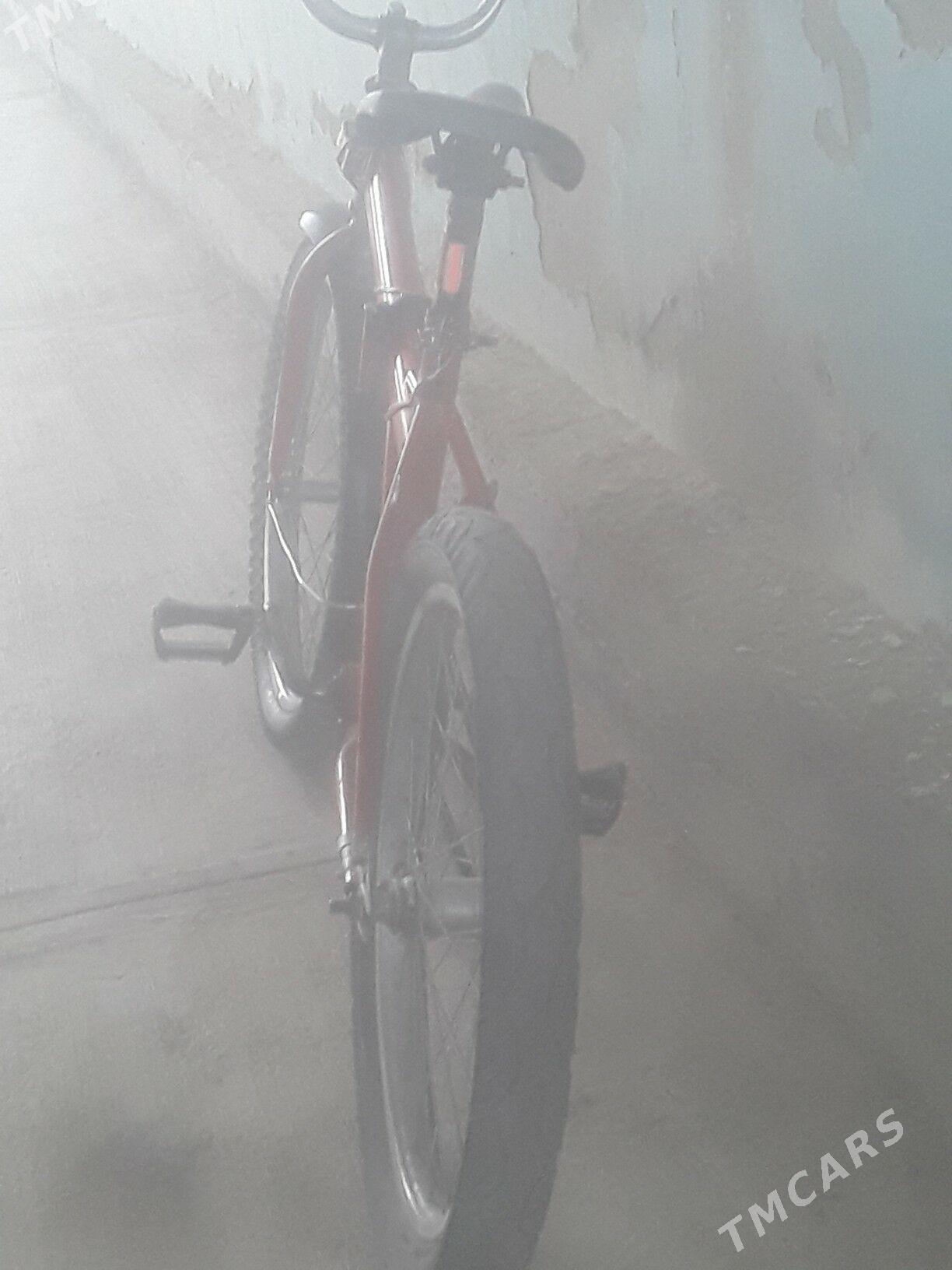 tigir - Гёкдже - img 2