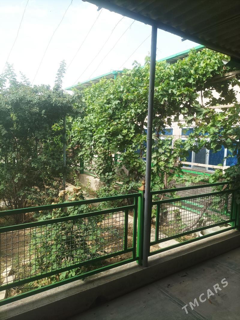 Satlyk Anew Magtymguly kotej - Änew - img 5