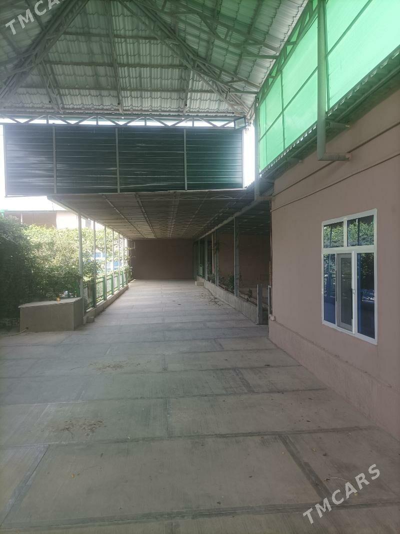 Satlyk Anew Magtymguly kotej - Änew - img 4