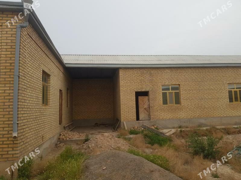 jay  pylan - Tejen - img 2