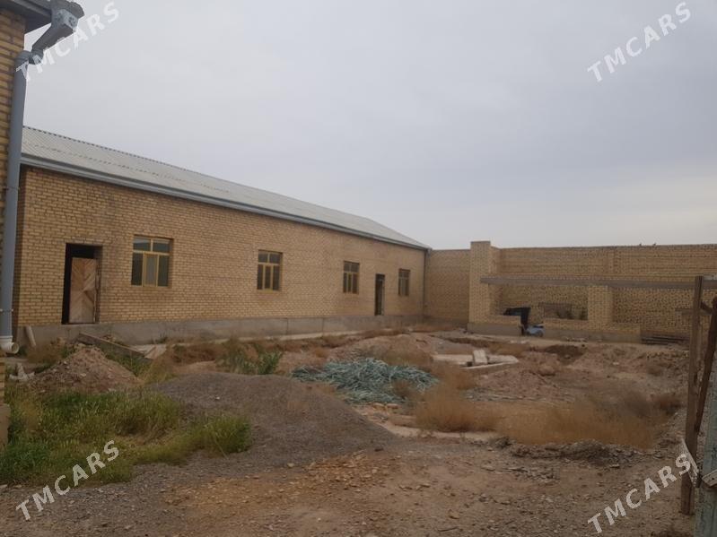 jay pylan - Tejen - img 1