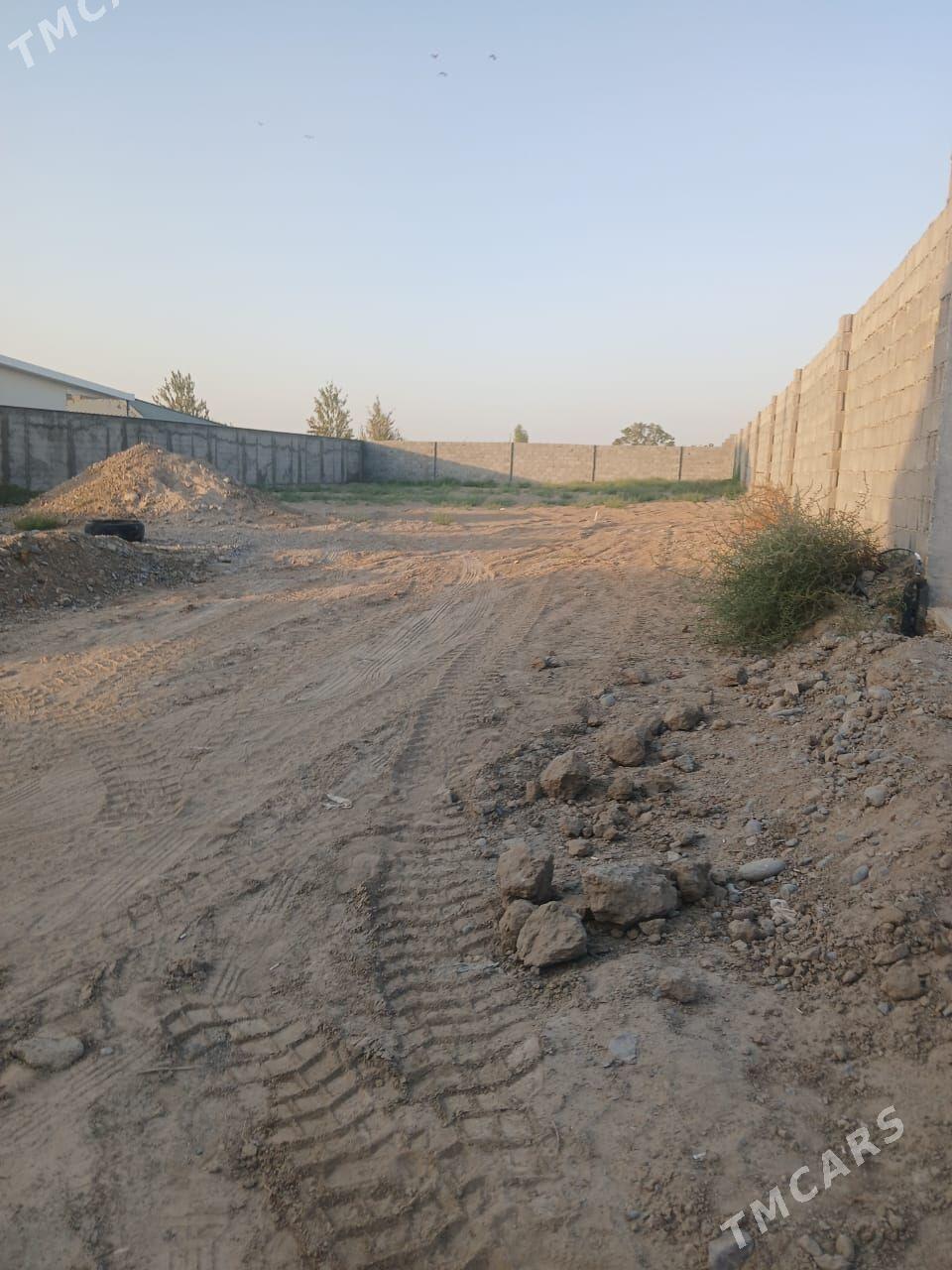 mellek yer bagyrda - Багир - img 1