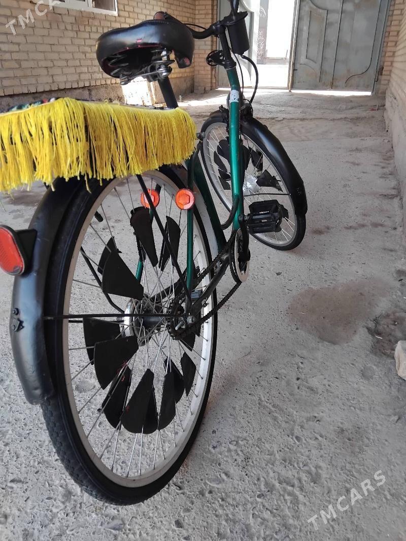 welik 27 - Çärjew - img 4