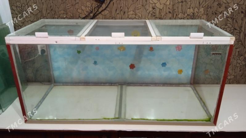 АКВАРИУМЫ - 5 mkr - img 3