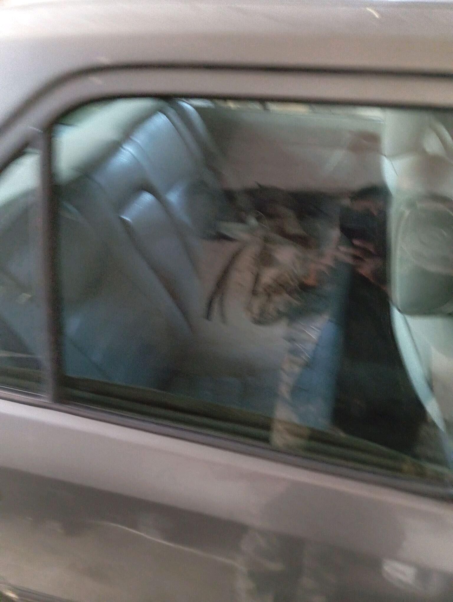 Mersedes kuzup 10 000 TMT - Губадаг - img 4