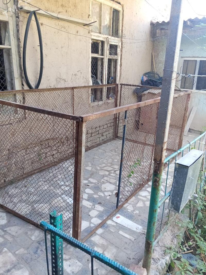 towuk setka - Дашогуз - img 1