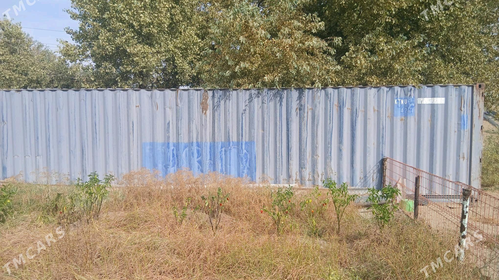 kantenir40tonyk - Кëши - img 3