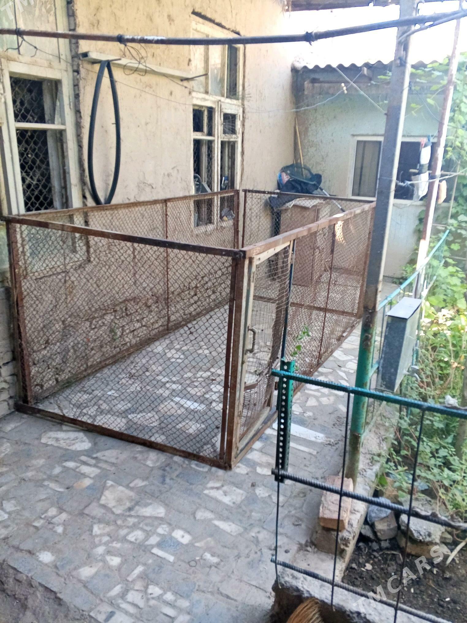 towuk setka - Дашогуз - img 2