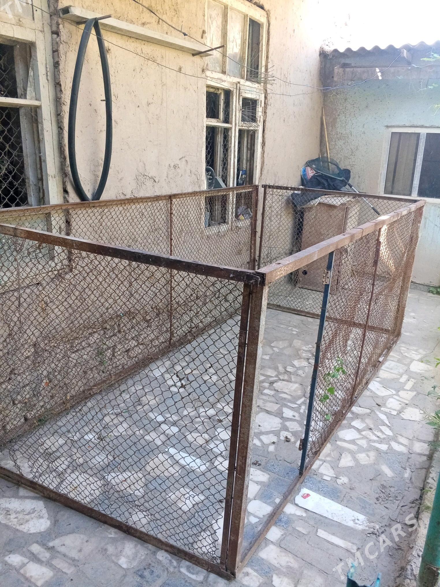 towuk setka - Дашогуз - img 3