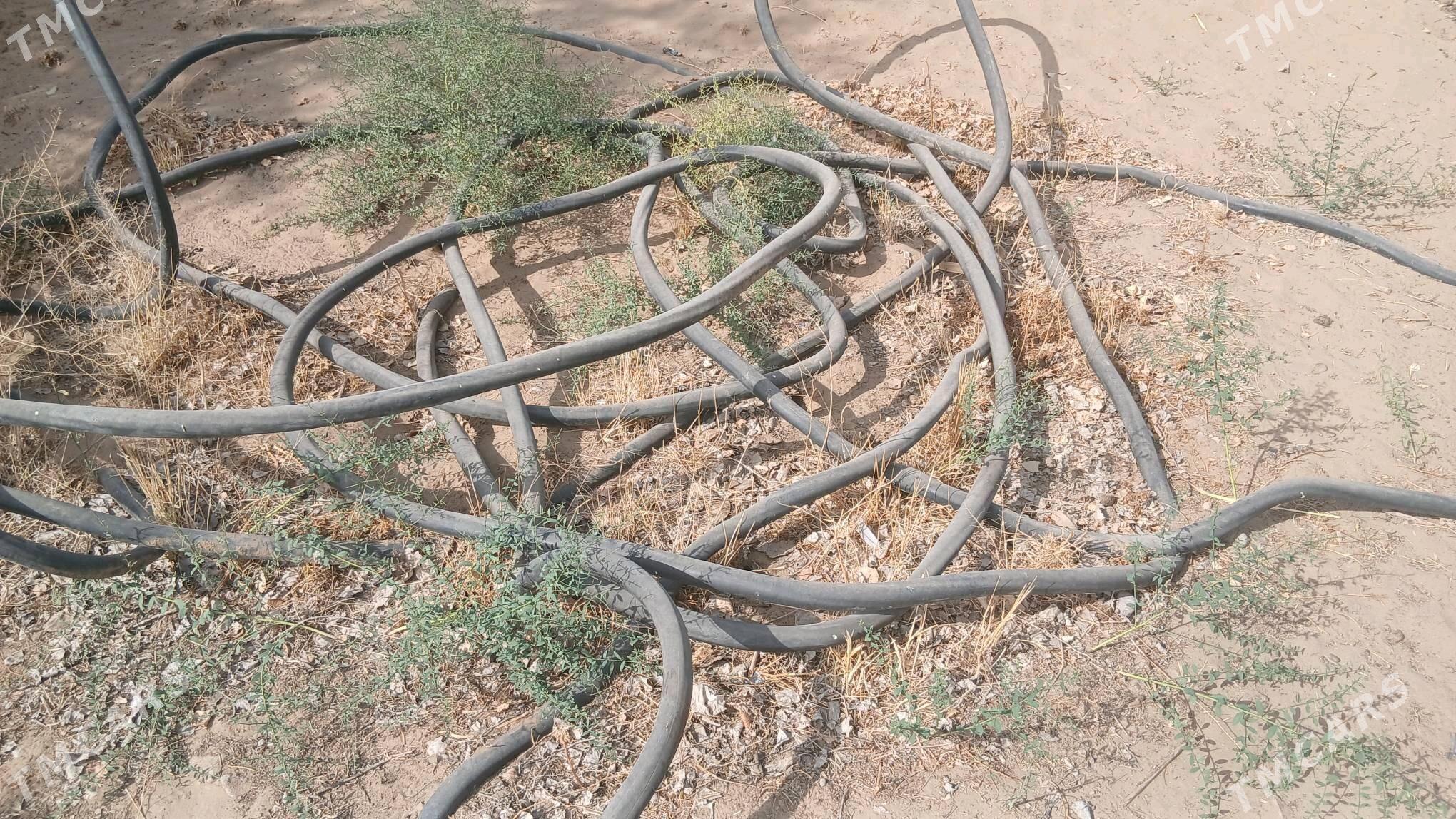 kabel - Кëши - img 2