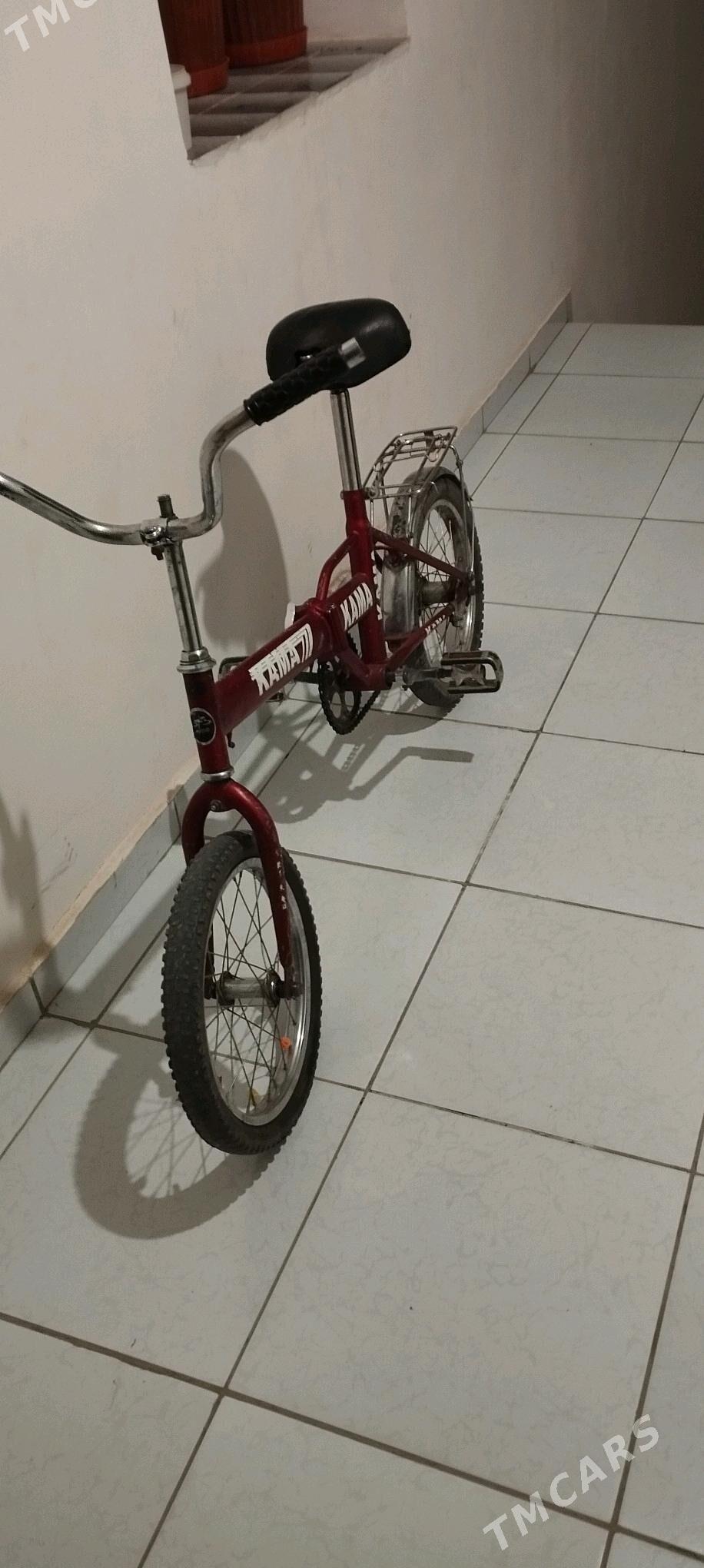 tigir - Мары - img 2