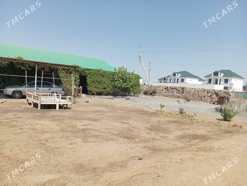 Änew ýer 16-sotyk - Анев - img 4