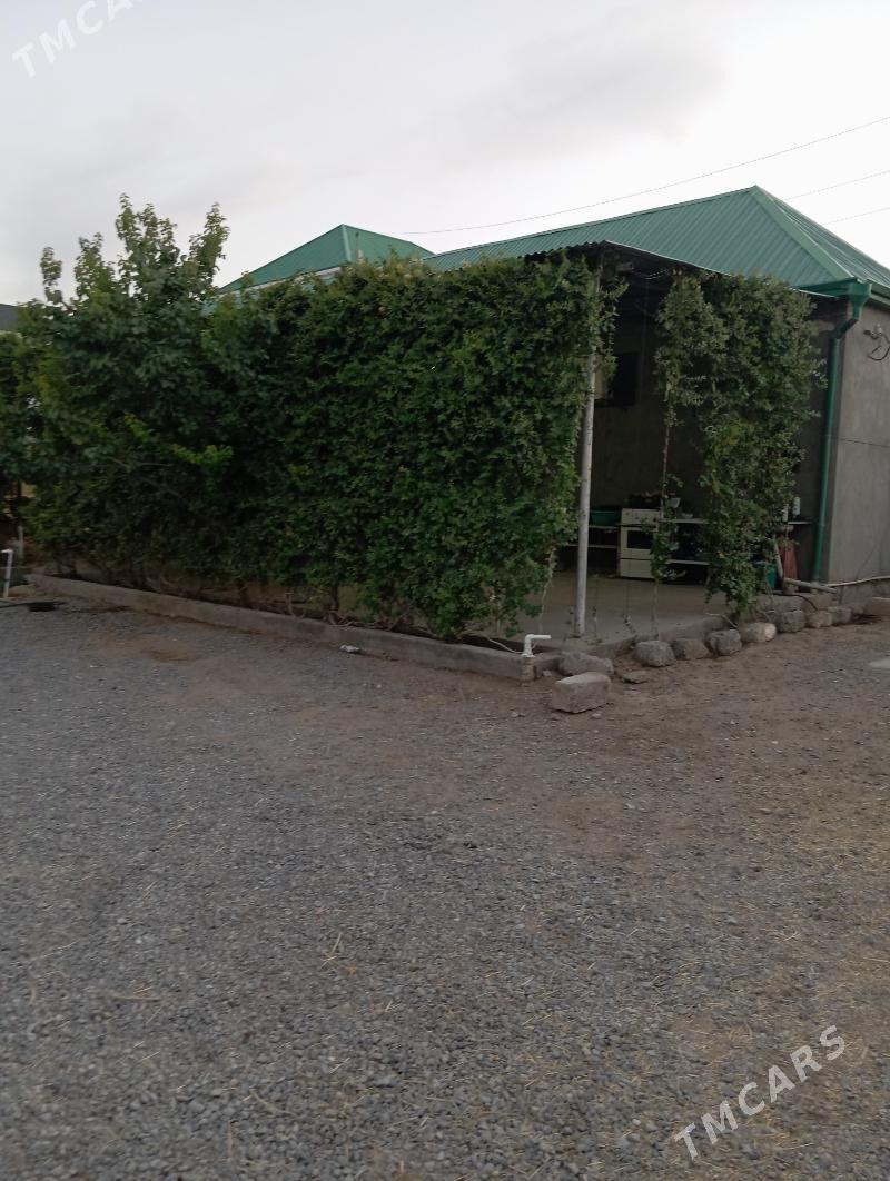 Änew ýer 16-sotyk - Анев - img 1