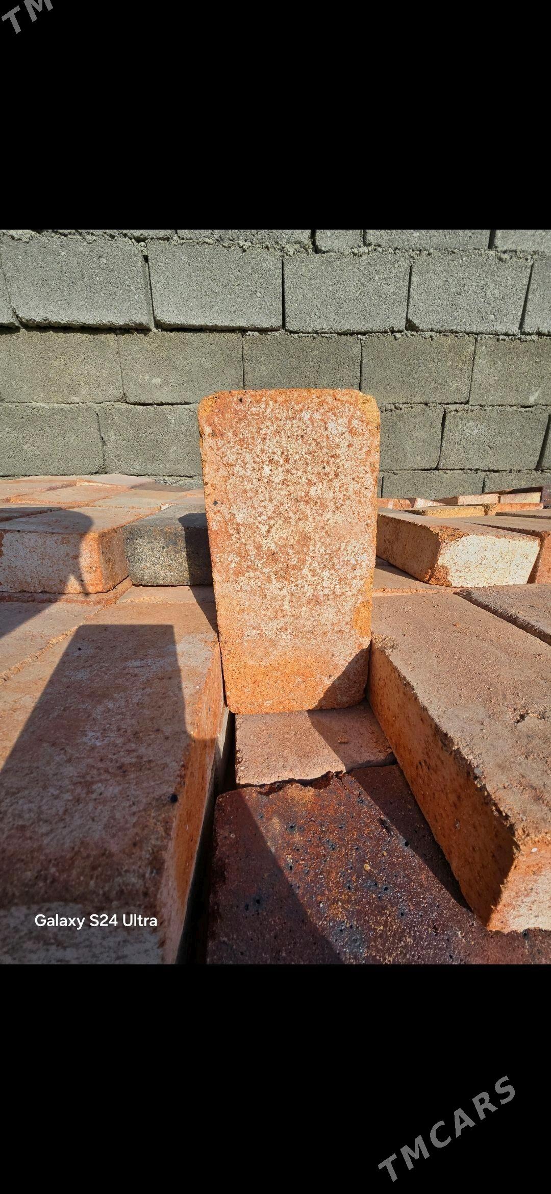 kerpic agnaporni agneuporni - Бедев - img 1