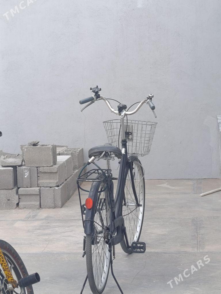 Tigir - Gyzylarbat - img 5