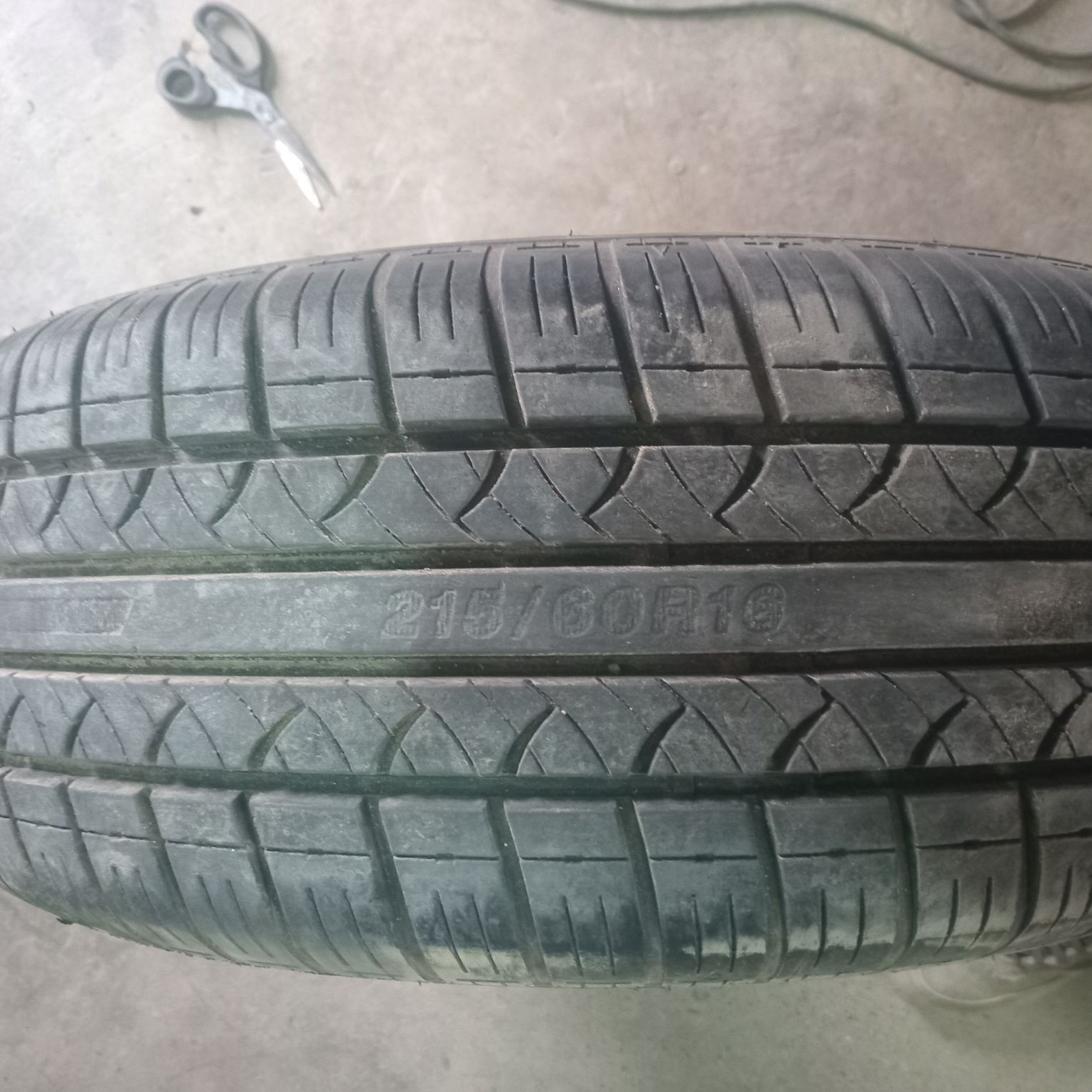 215.60..16.lik. bezkamir 400 TMT - Daşoguz - img 4