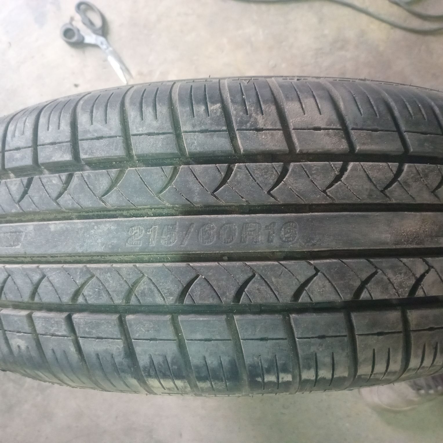 215.60..16.lik. bezkamir 400 TMT - Daşoguz - img 2