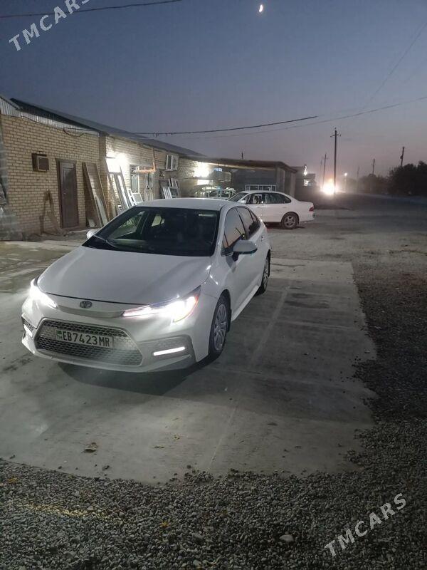 Toyota Corolla 2022 - 250 000 TMT - Мары - img 3