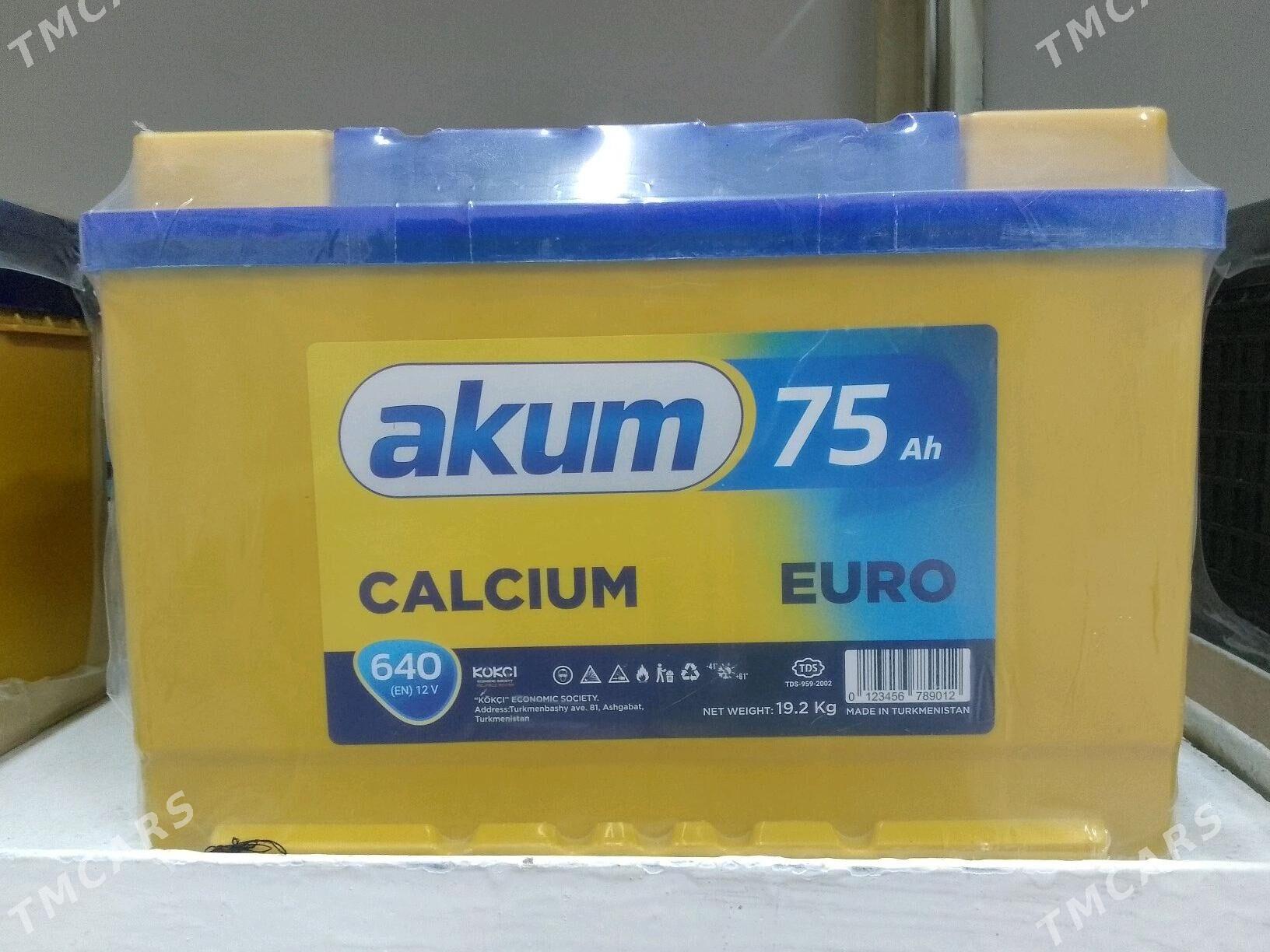 Akkumulyatorlar 500 TMT - Büzmeýin - img 6