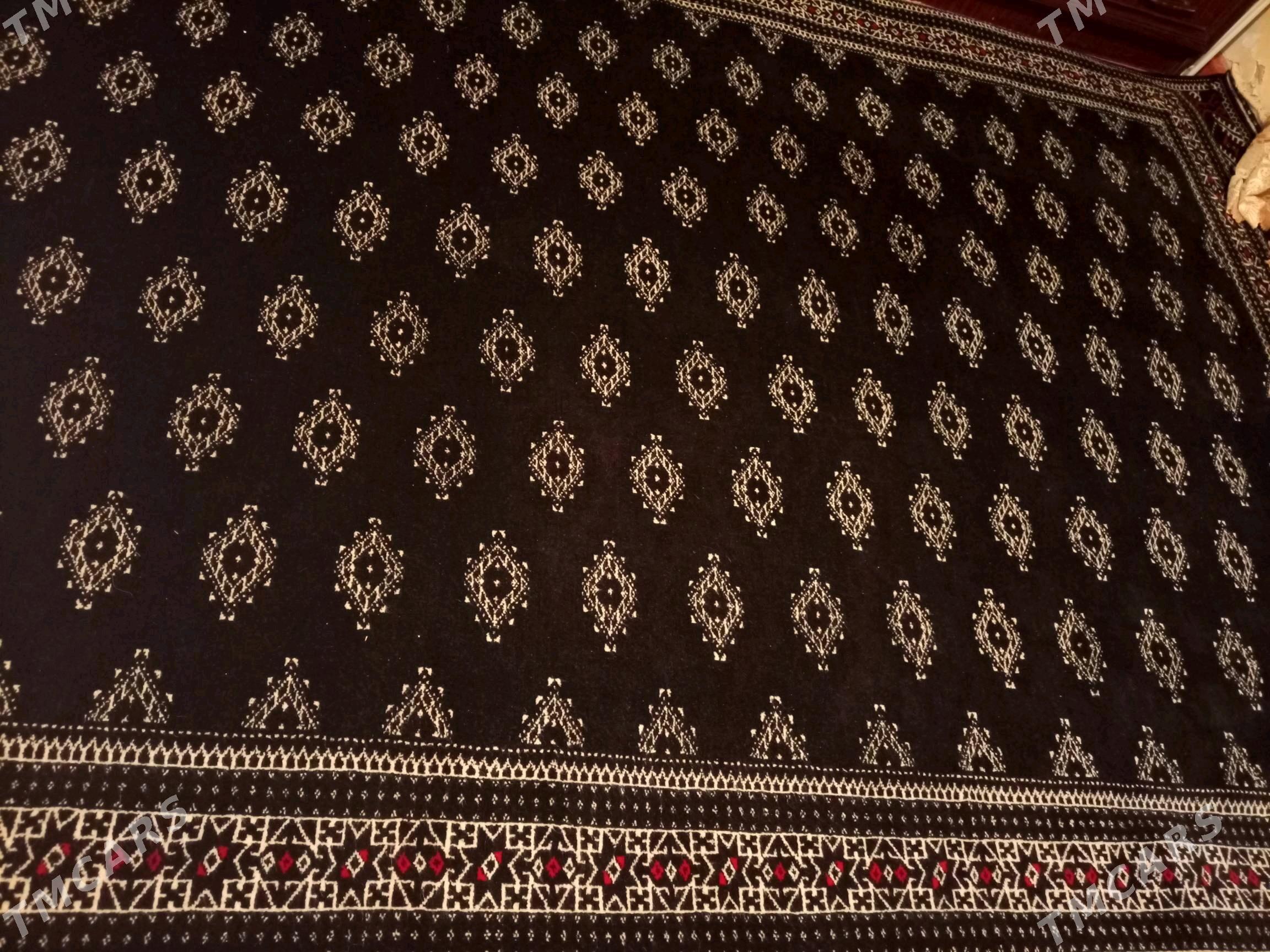 Haly - Gumdag - img 2