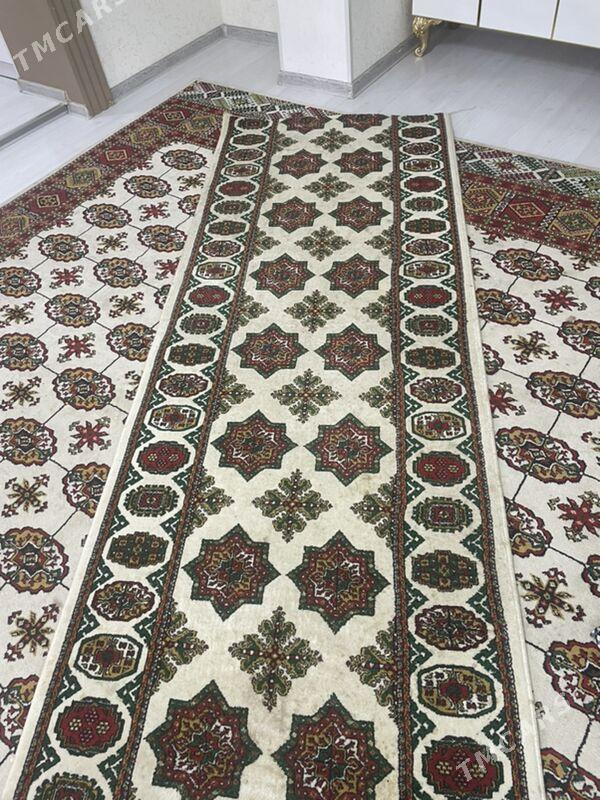 haly - Balkanabat - img 2