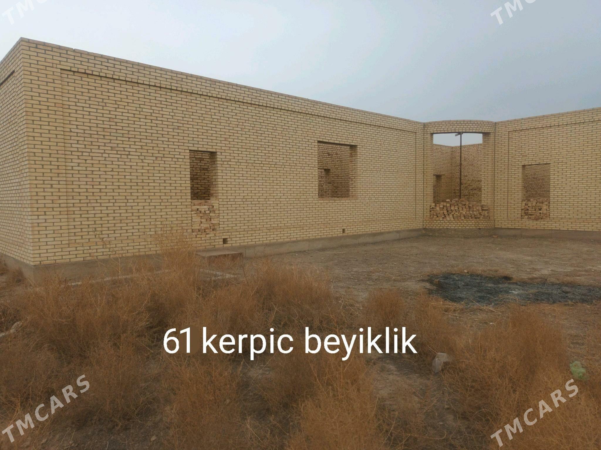 satlyk jay - Сакарчага - img 4