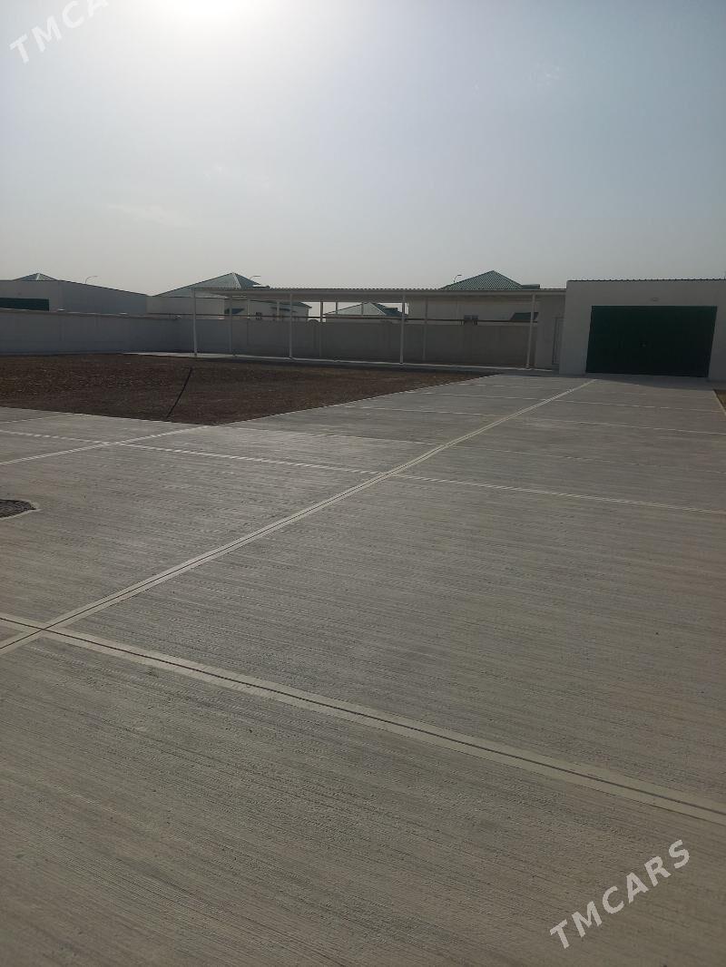 Kopetdagyn yalkymy - Gökdepe - img 1