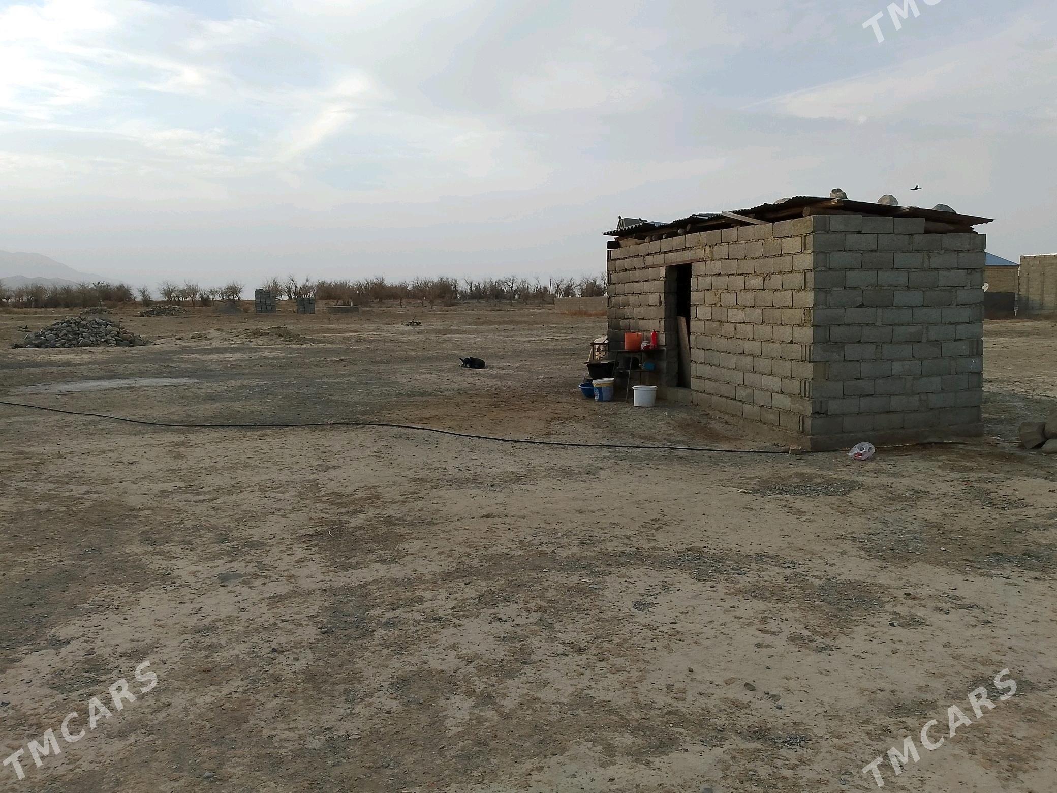 baherden - Бахарден - img 2